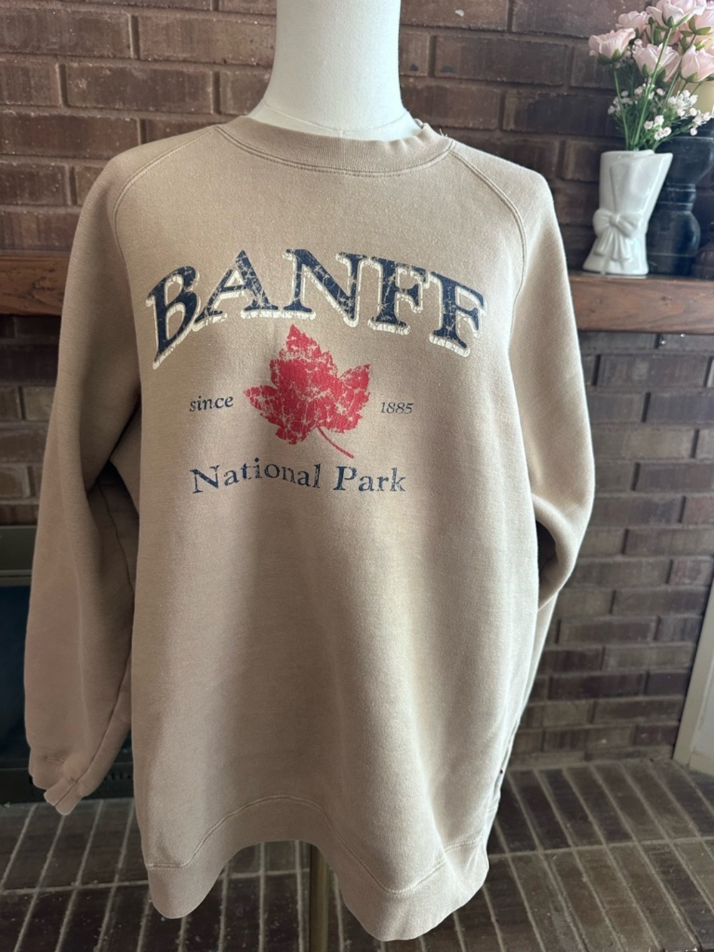 Banff National Park Graphic Crewneck Cabincore Cozy XL